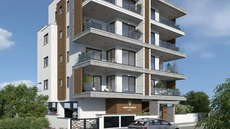 Project Image 2