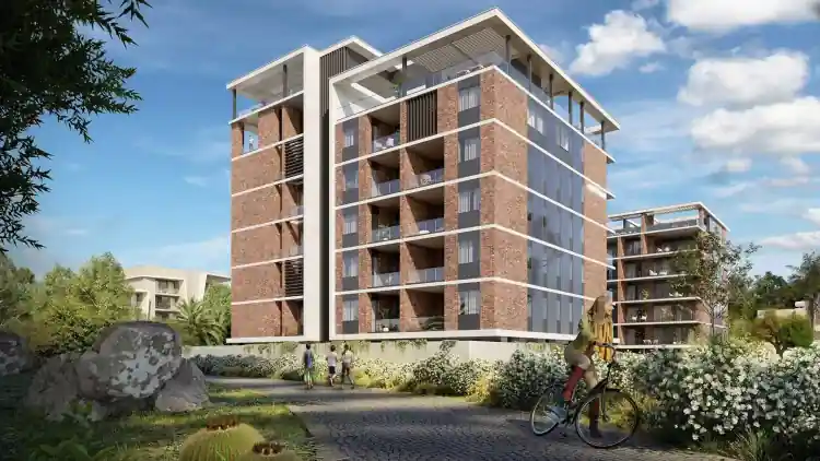 Project Image 5