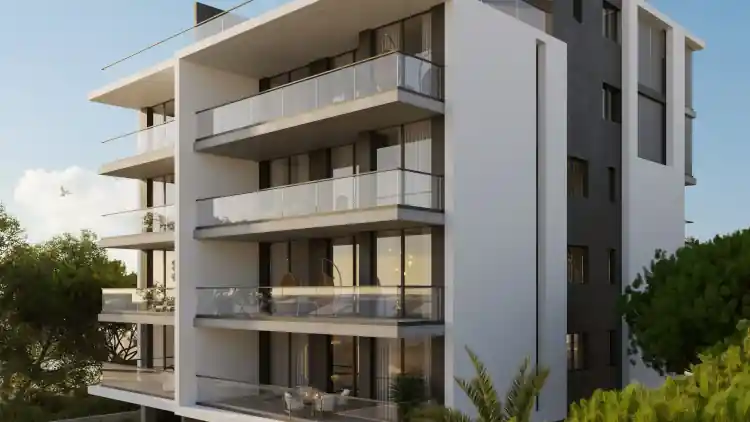Project Image 1