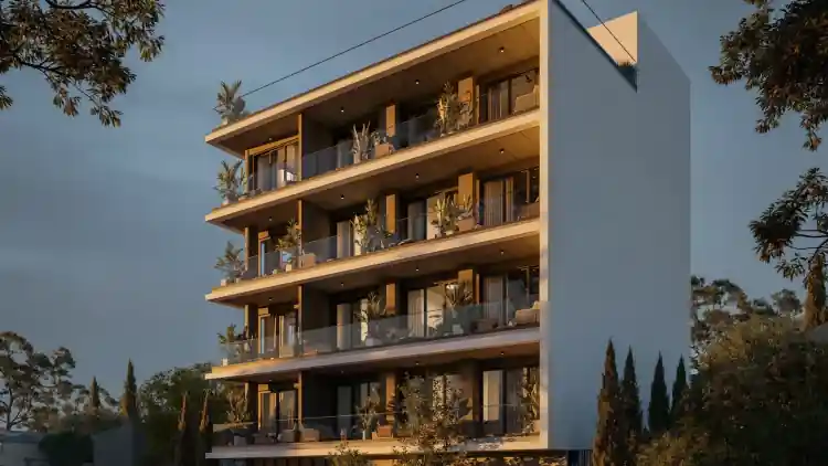 Project Image 4