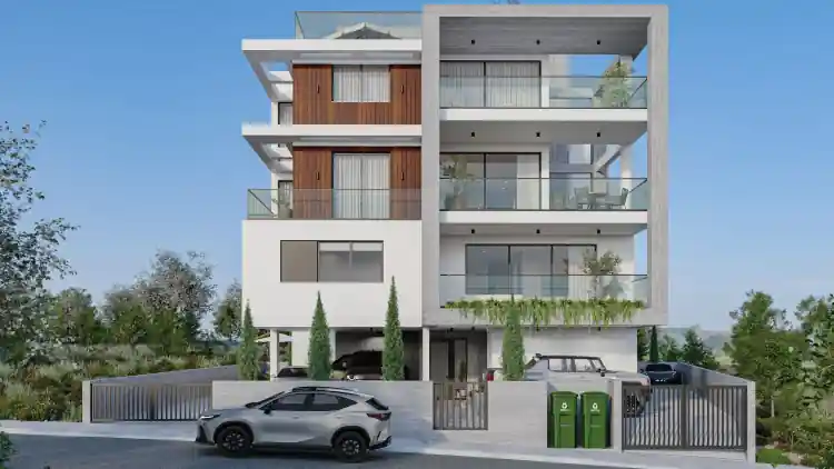 Project Image 1