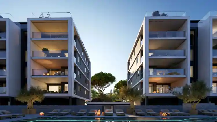 Project Image 7