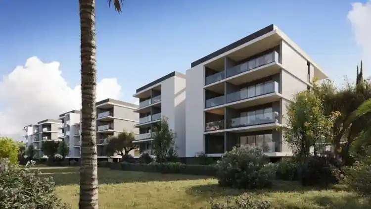 Project Image 8