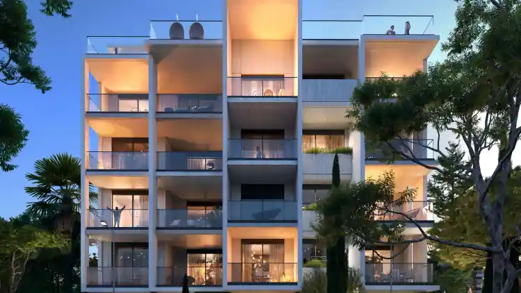 Project Image 1