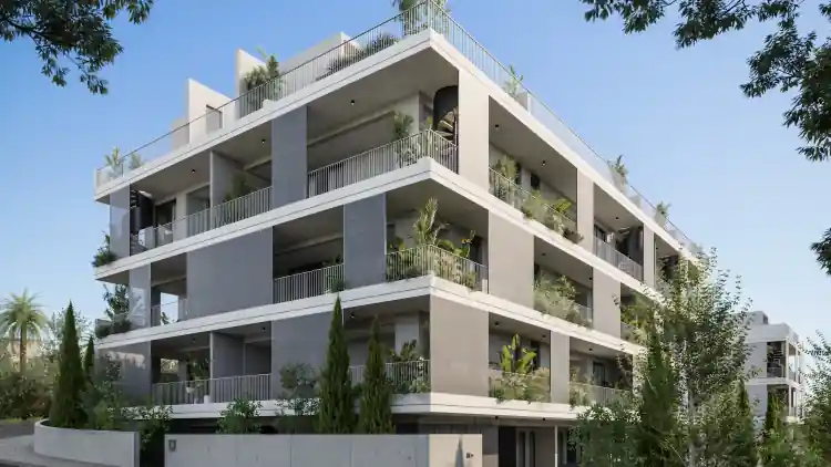 Project Image 8