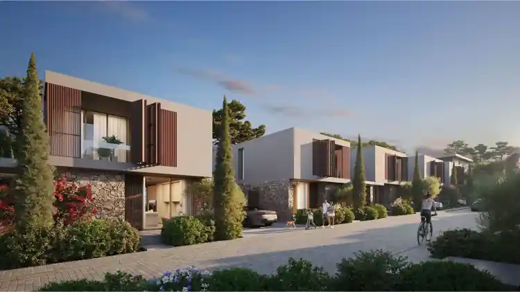 Project Image 12