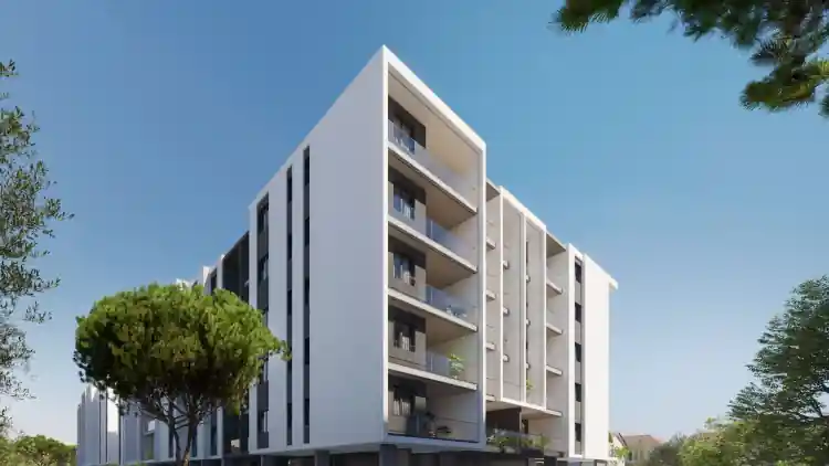 Project Image 8