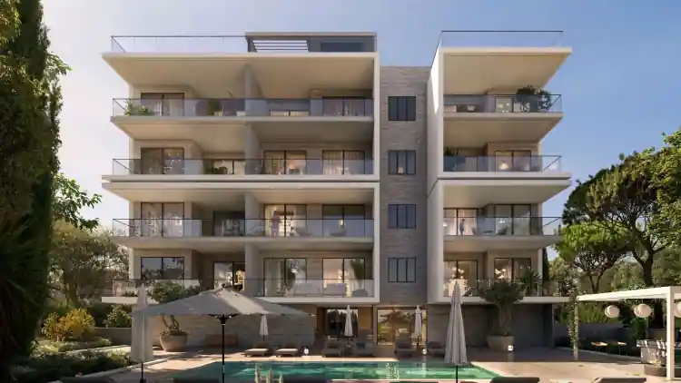 Project Image 12