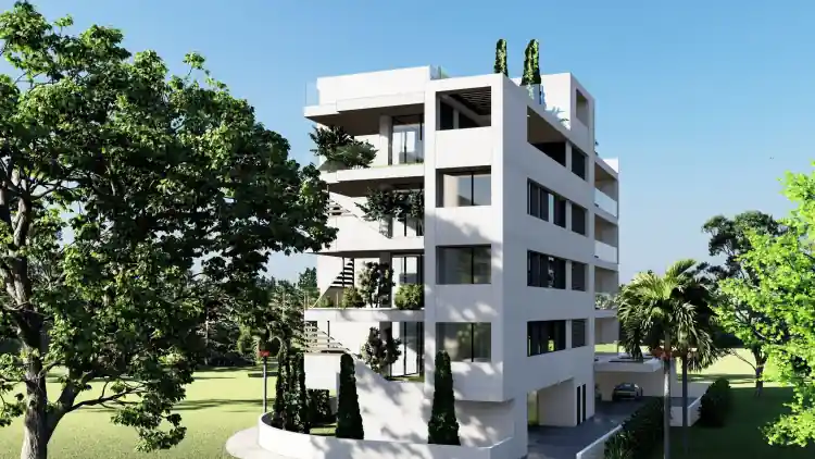 Project Image 5