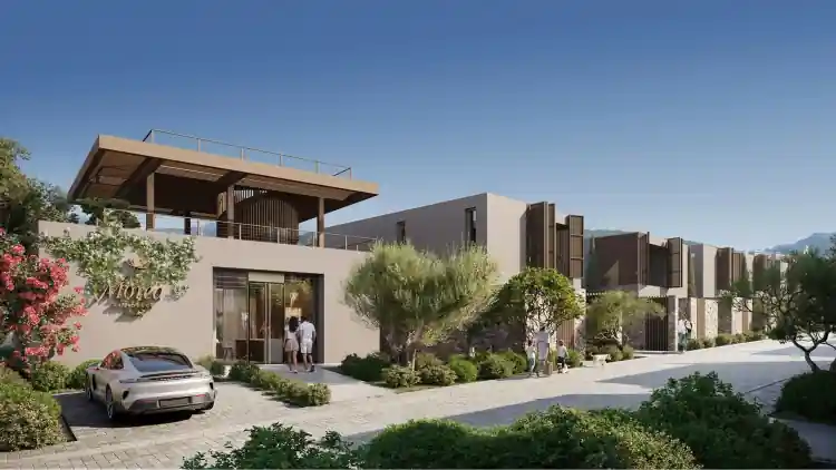 Project Image 16
