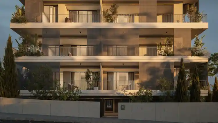 Project Image 1