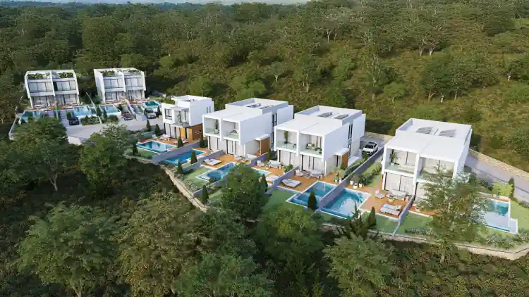 Project Image 6