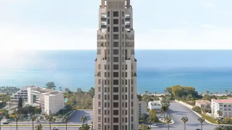 Project Image 11