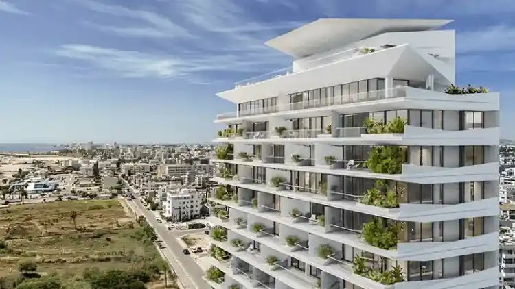 Project Image 5