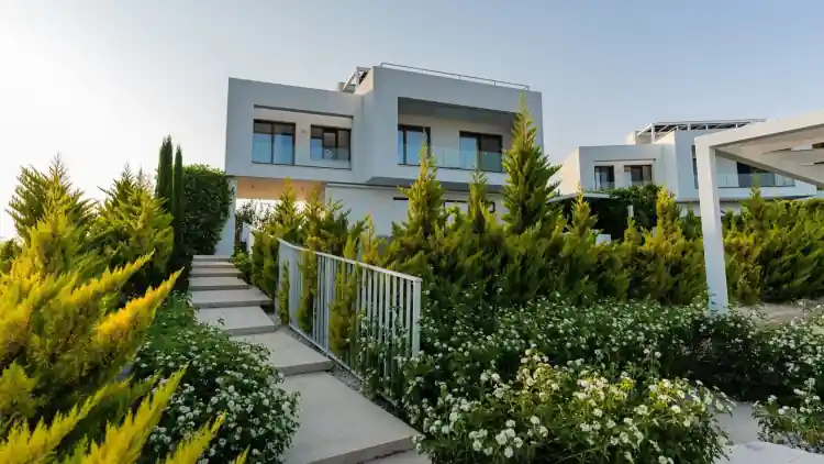 Project Image 6