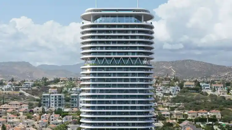 Project Image 8