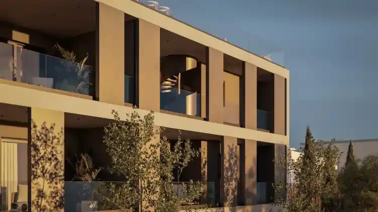Project Image 5