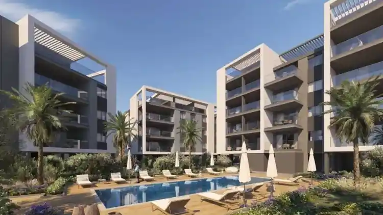Project Image 5