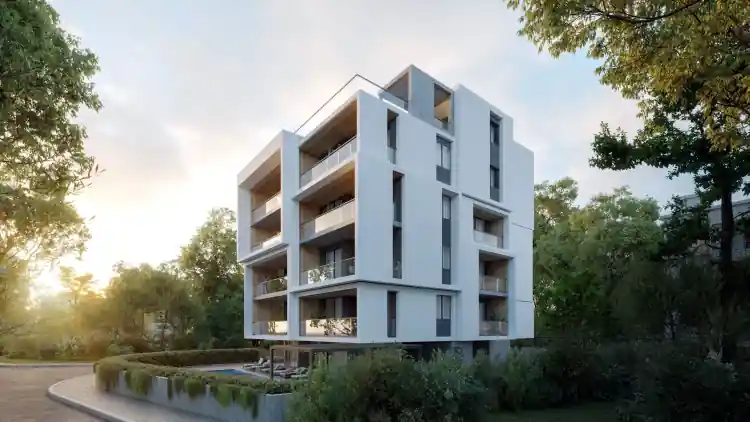 Project Image 6