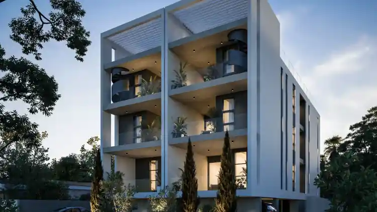 Project Image 1
