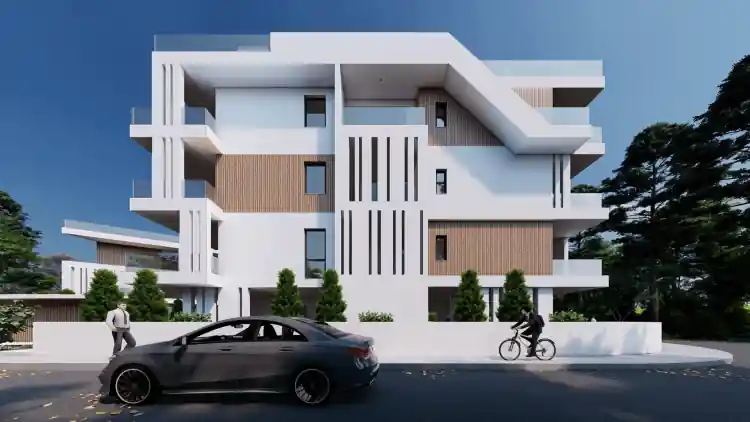 Project Image 1