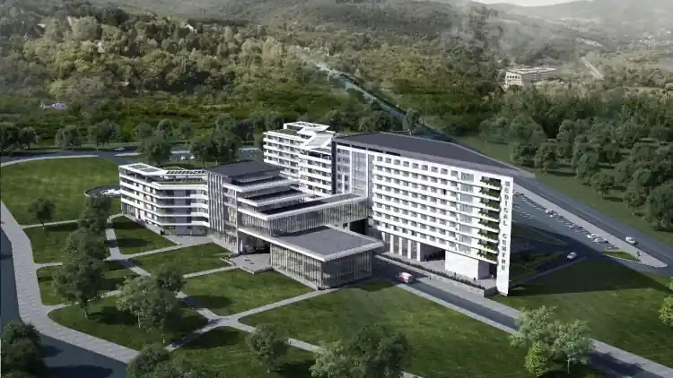 Project Image 9