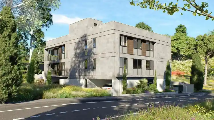 Project Image 5