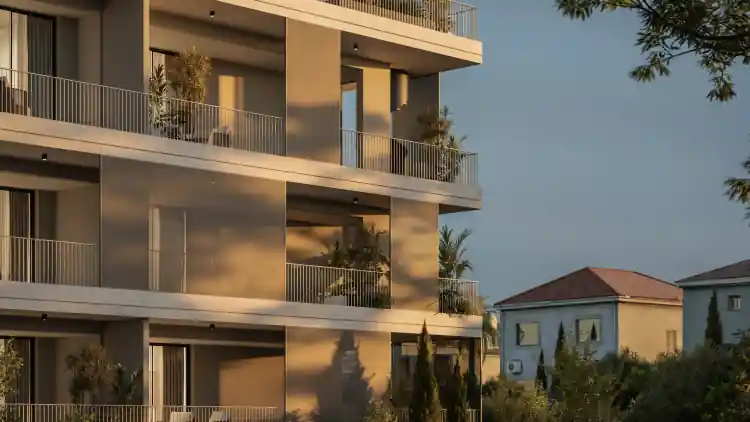 Project Image 5