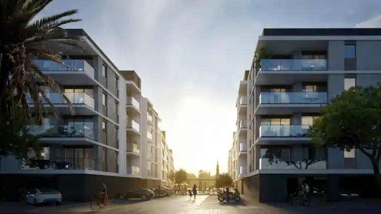 Project Image 13