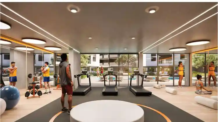 Project Image 6
