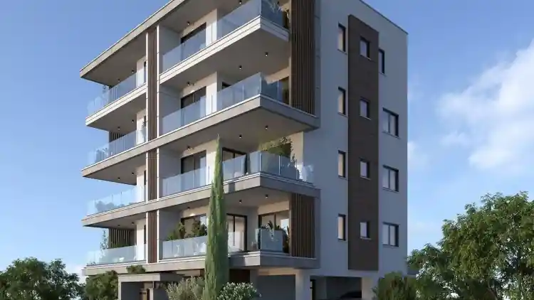 Project Image 5