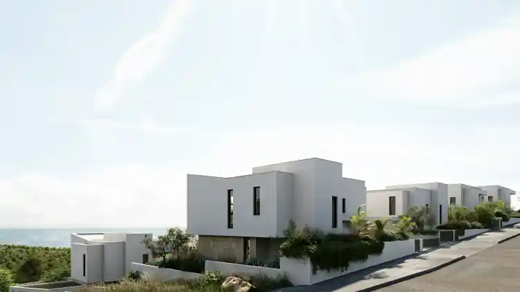 Project Image 7