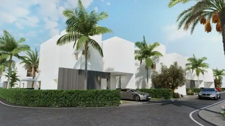 Project Image 12