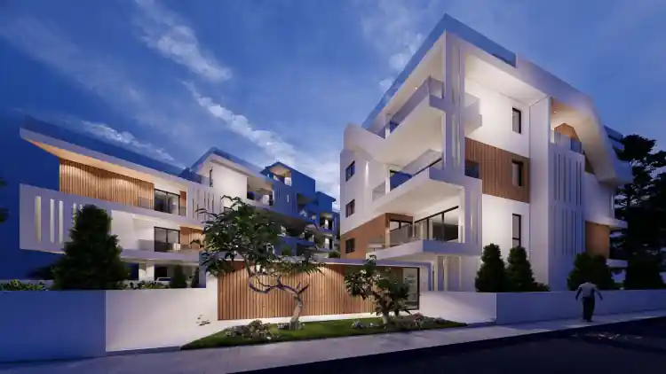 Project Image 8