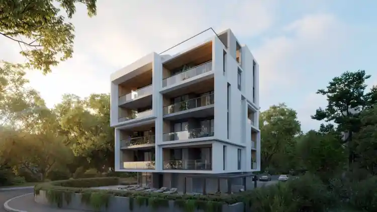 Project Image 4