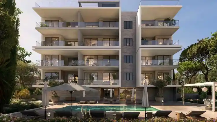 Project Image 5