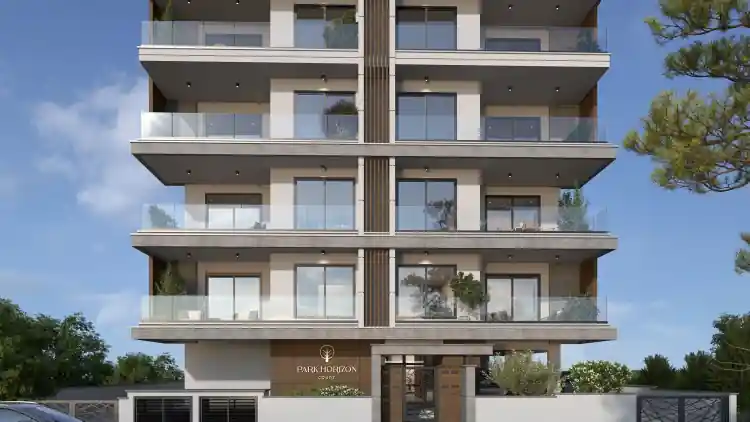 Project Image 1