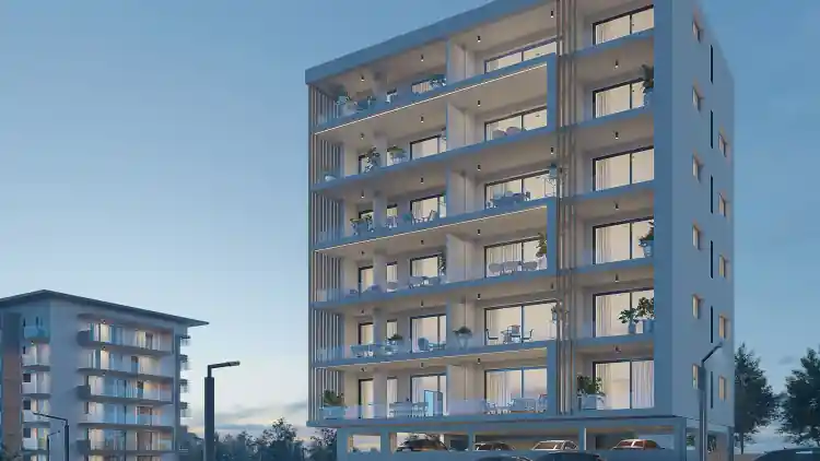 Project Image 1
