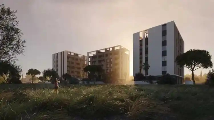 Project Image 5