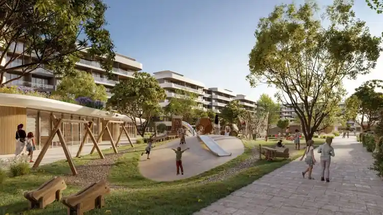 Project Image 8