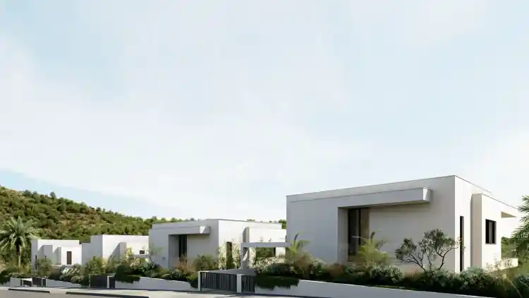 Project Image 6
