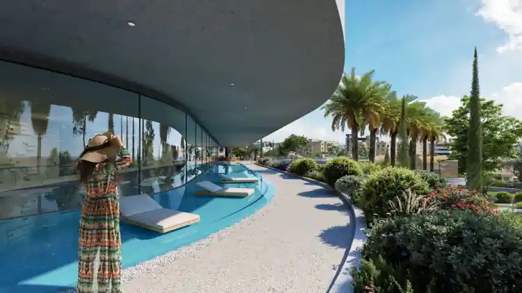 Project Image 6