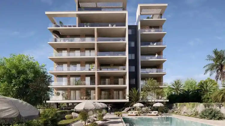 Project Image 1