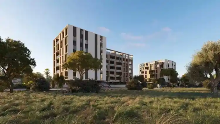 Project Image 4