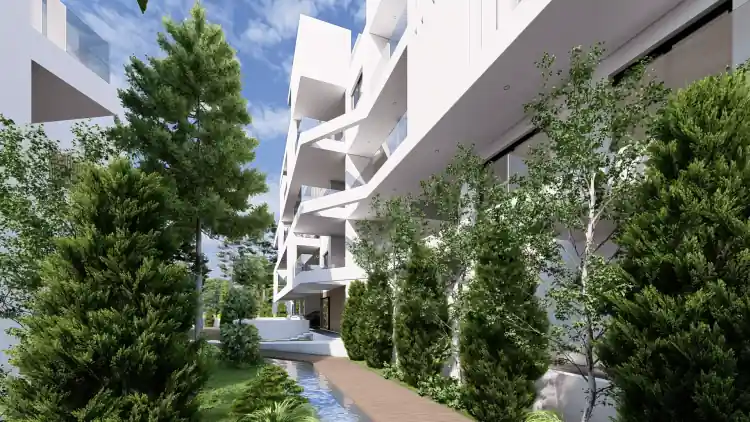 Project Image 7