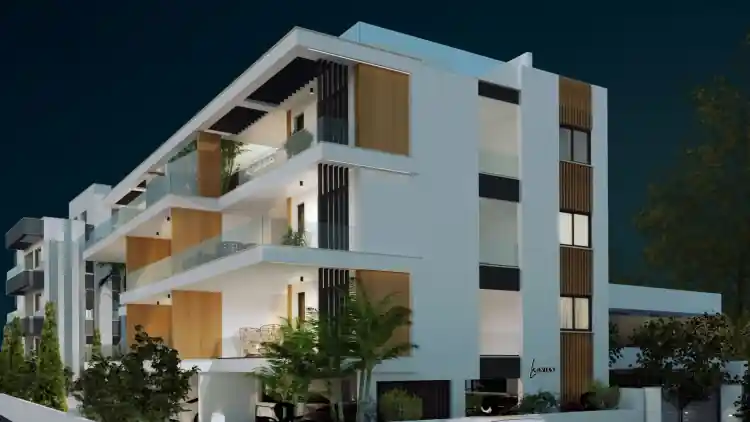 Project Image 3