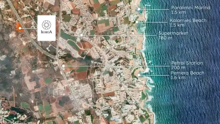 Project Image 8