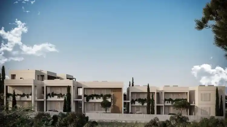 Project Image 13