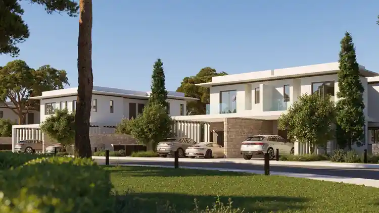 Project Image 1