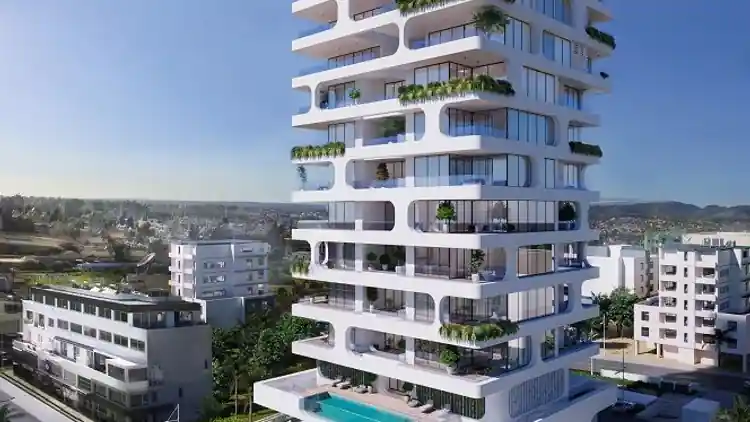 Project Image 1
